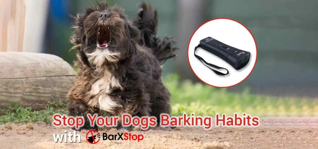 BarXStop Review: Does it stop your dog's barking habits? &ndash; Site Title